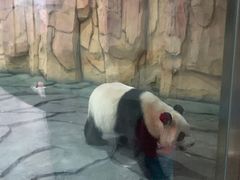 -泉州海丝野生动物世界