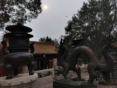 -颐和园