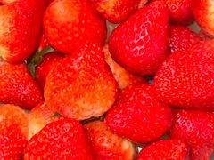 -麦德龙(嘉定店)