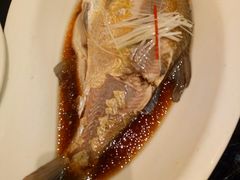 清蒸武昌鱼-亢龙太子酒轩(东湖店)
