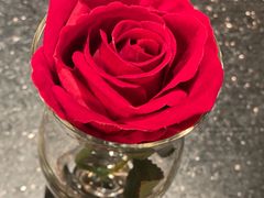 -华豫川酒家(大卫城店)