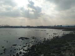 -烟墩角天鹅湖