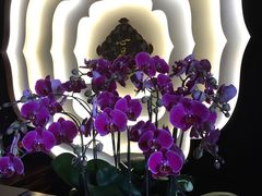 -心足私家足疗SPA(深圳湾店)