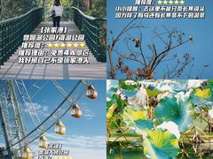 -暨阳湖生态园