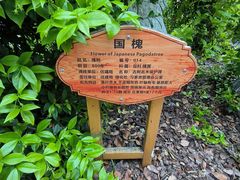 -习家池