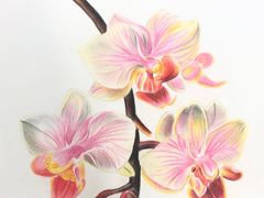 -八哥美术·成人美术画室(总校区)