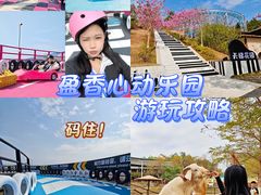 -盈香心动乐园