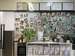 -爱妮康宠物医院·干细胞免疫细胞·肿瘤·心脏(张江店)