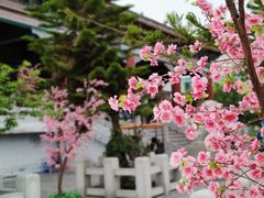 -厦门方特梦幻王国