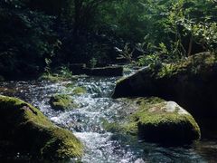 -洋湖沟