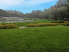-映月湖公园