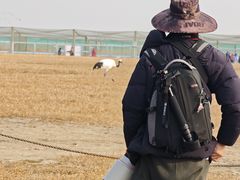 -盐城丹顶鹤湿地生态旅游区