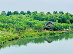 -乌村
