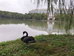 -华东政法大学(松江校区)