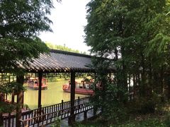 -溱湖国家湿地公园