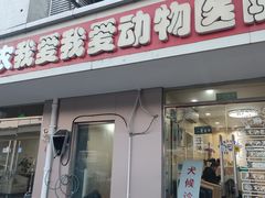 -中农大我爱我爱24h动物医院·中医针灸·猫专科·骨科医疗中心(双井店)