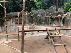 -杭州野生动物世界