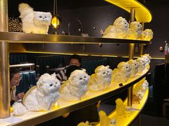 -黄晓猫剁椒大鱼头(海岸城店)
