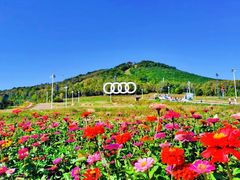 -长白山万达锦华套房酒店