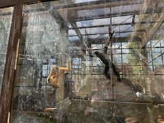 -昆明动物园