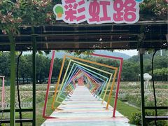 -盈香心动乐园
