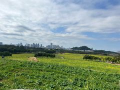 -光明小镇欢乐田园