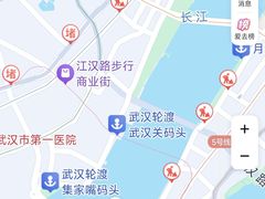 -武汉两江游览·夜游长江(汉口粤汉码头)
