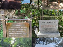 -棒棰岛宾馆景区
