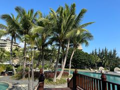 -海南清水湾莱佛士酒店