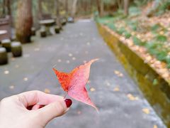 -蒋氏故居