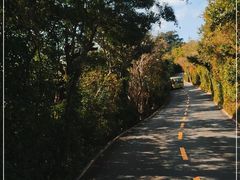 -亚龙湾热带天堂森林公园