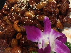 -津菜宋记老房子(平山道店)