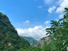 -小桃红·东北菜·春饼烤鸭(南阳湖街店)