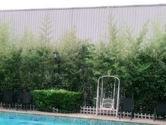 -汪说喵讲宠物乐园宠物酒店(红星美凯龙店)