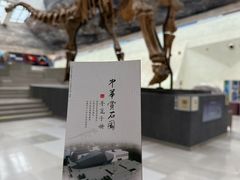 -中华赏石园