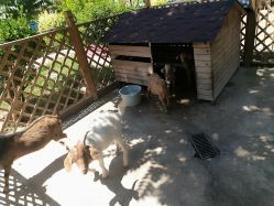 -萌宠亲子动物乐园(槐房万达店)