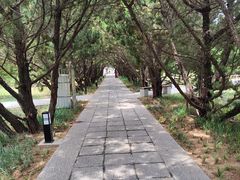 -洛阳古墓博物馆