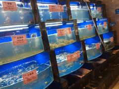 -小城味道(嘉兴首店)