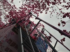 -昆明动物园