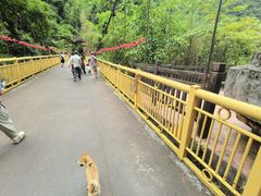 -赤水丹霞旅游区·大瀑布