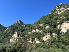 -大岭沟猕猴桃谷风景区