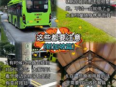 -圣淘沙天际线斜坡滑车