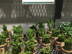 -鹿岛会员店 (龙湖三千集天街店)