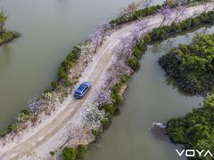 -大湾区中央湿地公园