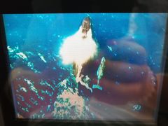 -西沃古尔·拉姆古兰爵士国际机场