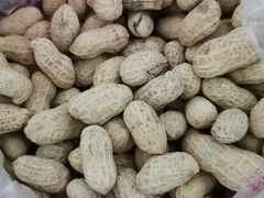 蒜香花生-秋栗香(地安门店)