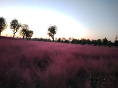 -汉长安城未央宫国家考古遗址公园