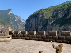 -白帝城·瞿塘峡景区