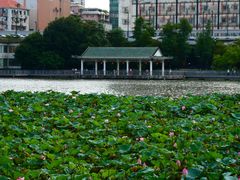 -荔湾湖公园