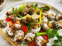 花螺-潮盛海鲜(韶关总店)
